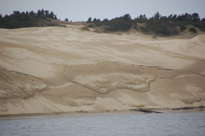 Sand Duine in Eureka