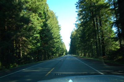 Road in west coast Oregon Beach