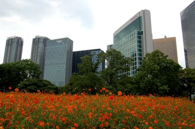 Hama-Rikyu Garden