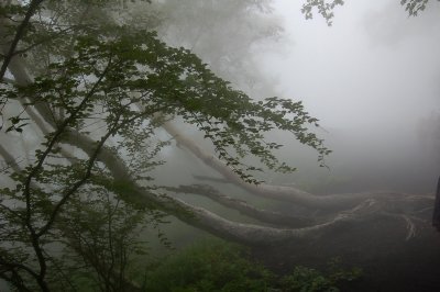 Climbing Mount Fuji