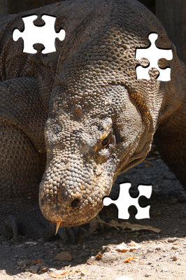 puzzle_2.jpg