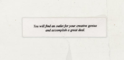 fortune_cookie_insert.jpg