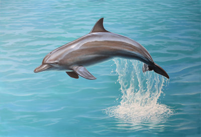Dolphin painting 1.jpg