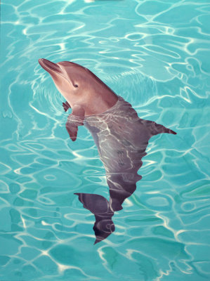 dolphin_3_low_res.jpg