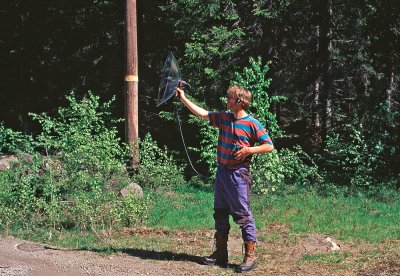 Recording bird songs with parabol microphone , Scientific work for Lund University