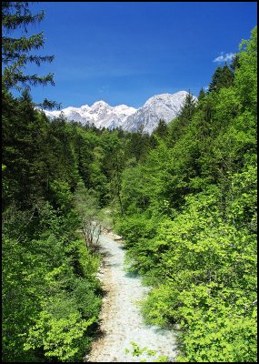 Kamniška Bistrica Valley, Slovenia