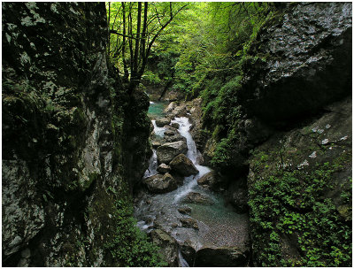 Zadlaščica, Slovenia