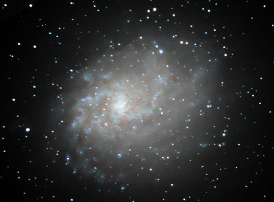 M33 - Pinwheel Galaxy In Triangulum 