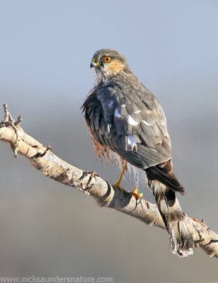 g2/76/777976/3/148816002.7mAkArFe.jpg