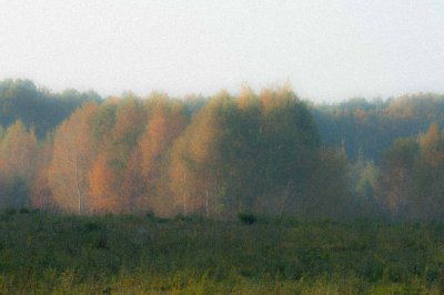 Autumn Impression