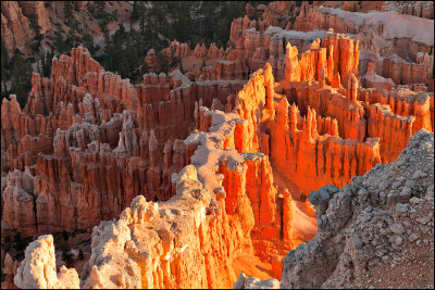 Bryce Canyon Detail from Bryce Point