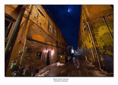 Back Alley Moon