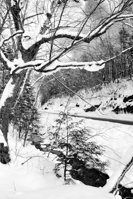 Snowy Vermont