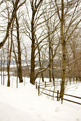 Winter Wonderland
