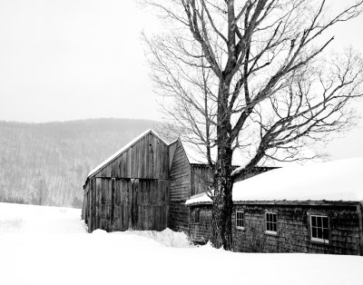 Winter in Vermont