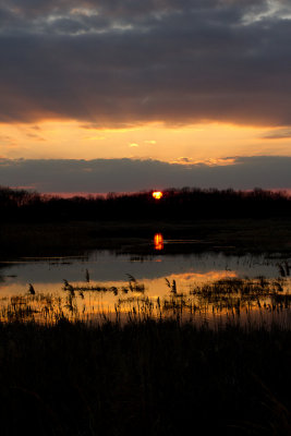 Winter Sunset