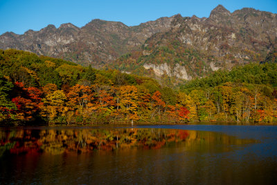 SUMMER&AUTUMN 2012
