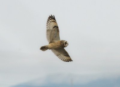 IMG_8988.jpg