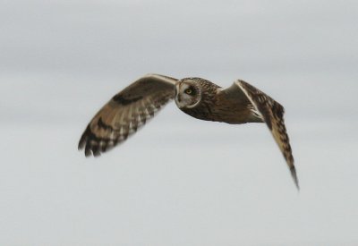 IMG_8991.jpg