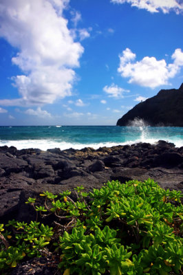Rocky shore