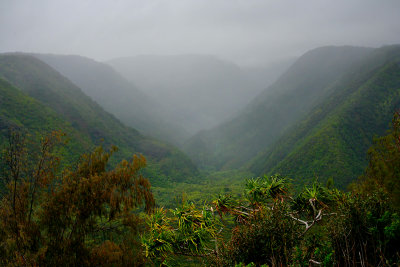 Pololu Valley