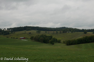 DSC_0142.jpg