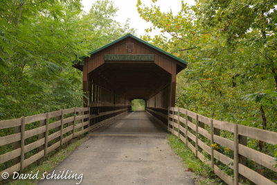 Bridge of Dreams.jpg