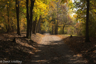 2012-10-04 at BackWood_Camp 3-1.jpg