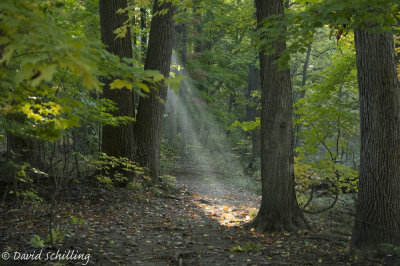 DSC_0029-1.jpg