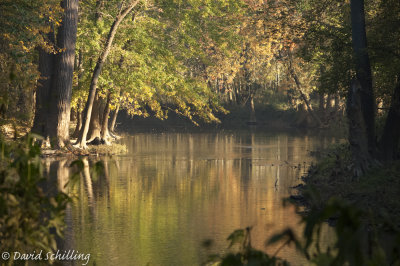 DSC_0017.jpg