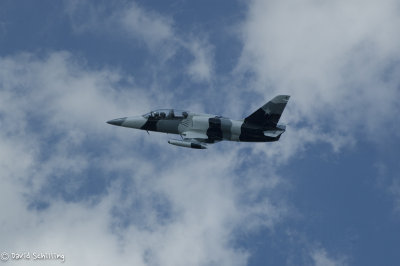 DSC_5437-2.jpg