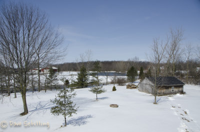 BackYard3-26-2013.jpg