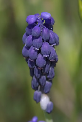 g2/77/1051677/3/149899753.M9N8FQbt.jpg
