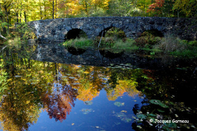 IMGP1036 - Parc du Mont Saint-Bruno.JPG