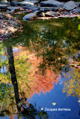 IMGP1062 - Parc du Vieux-Presbytre, Saint-Bruno.JPG