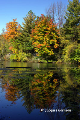 _IGP6060 - Parc du Mont Saint-Bruno.JPG