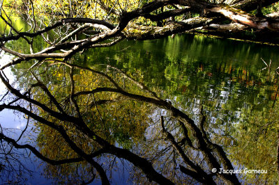 _IGP6109 - Parc du Vieux-Presbytère, Saint-Bruno.JPG