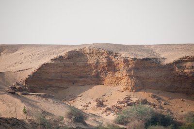 D3_1043.jpg
