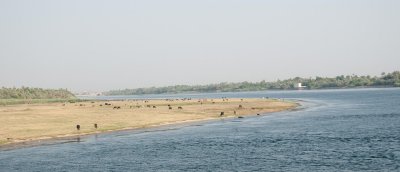 D3_1050.jpg