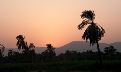 D3_1409.jpg