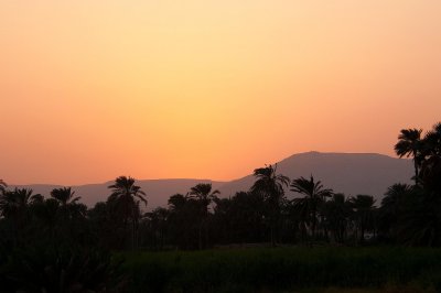 D3_1410.jpg