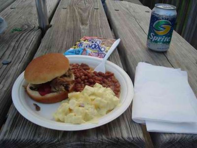 my bbq pulled pork sand, & baked beans & potato salad