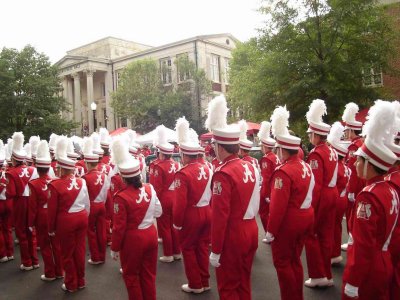 elephant-stomp-to-stadium