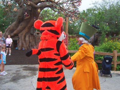 MagicalBeginnings50.jpg