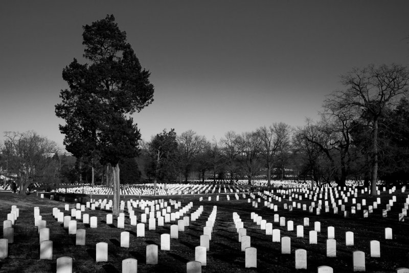Arlington National Cemetary