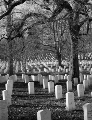 Arlington National Cemetary