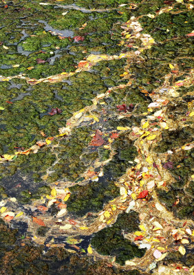 Along the C&O near Lock 11