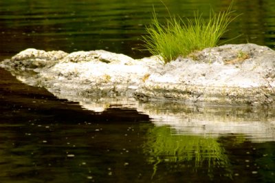  Island In The Stream