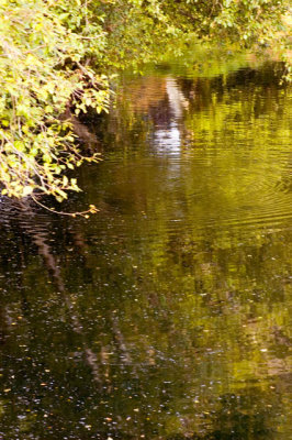 Trask River