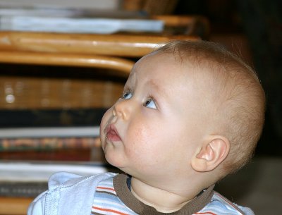 IMG_3013.JPG